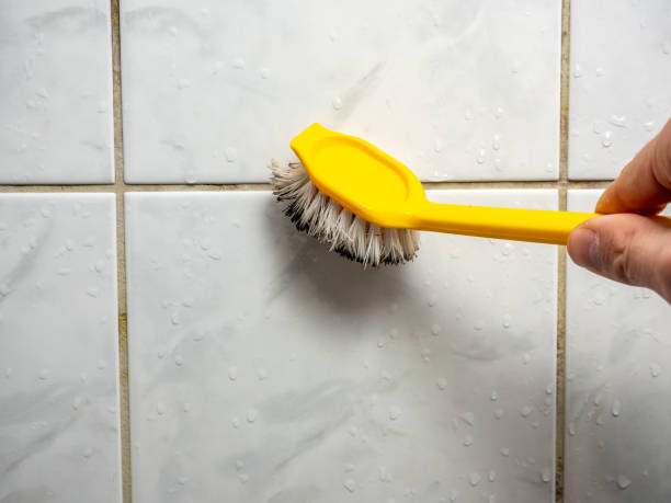 Best Mold Damage Repair  in Barbourmeade, KY