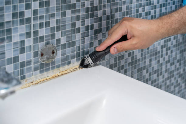 Best Mold Removal Near Me  in Barbourmeade, KY