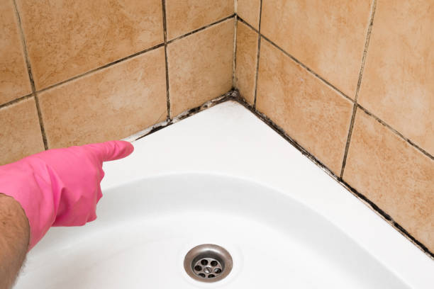 Best Mold Remediation Services  in Barbourmeade, KY